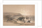 Caiaphas Looking Towards Mount Carmel, 1839 by David Roberts