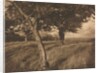 Camera Work: Beyond, 1905 by A. Horsley Hinton