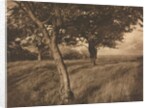 Camera Work: Beyond, 1905 by A. Horsley Hinton