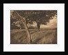 Camera Work: Beyond, 1905 by A. Horsley Hinton
