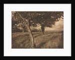 Camera Work: Beyond, 1905 by A. Horsley Hinton