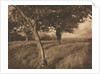 Camera Work: Beyond, 1905 by A. Horsley Hinton