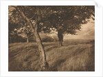 Camera Work: Beyond, 1905 by A. Horsley Hinton