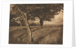 Camera Work: Beyond, 1905 by A. Horsley Hinton