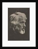Camera Work: Carlyle, 1913 by Julia Margaret Cameron