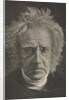 Camera Work: Herschel, 1913 by Julia Margaret Cameron