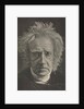 Camera Work: Herschel, 1913 by Julia Margaret Cameron