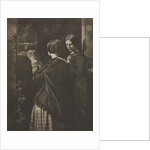 Camera Work: The Bird-Cage, 1909 by David Octavius Hill; Robert Adamson