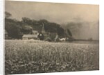 Camera Work: The Onion Field - 1890, 1890 by George Davison