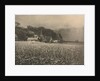 Camera Work: The Onion Field - 1890, 1890 by George Davison