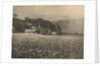 Camera Work: The Onion Field - 1890, 1890 by George Davison