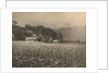Camera Work: The Onion Field - 1890, 1890 by George Davison