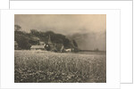 Camera Work: The Onion Field - 1890, 1890 by George Davison