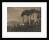 Camera Work: Toucques Valley, 1906 by Robert Demachy