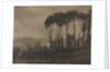 Camera Work: Toucques Valley, 1906 by Robert Demachy