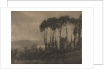 Camera Work: Toucques Valley, 1906 by Robert Demachy