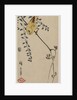 Canary and Wisteria, mid-1840s by Ando Hiroshige