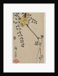 Canary and Wisteria, mid-1840s by Ando Hiroshige