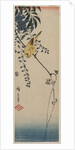 Canary and Wisteria, mid-1840s by Ando Hiroshige