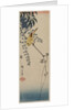 Canary and Wisteria, mid-1840s by Ando Hiroshige