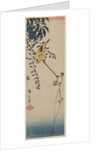 Canary and Wisteria, mid-1840s by Ando Hiroshige