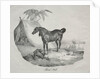 Cheval Arabe by Théodore Géricault