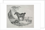 Cheval Arabe by Théodore Géricault