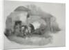 Cheval de charrette sorti des limons by Théodore Géricault
