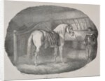 Cheval dHanovre by Théodore Géricault
