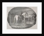 Cheval dHanovre by Théodore Géricault