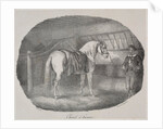 Cheval dHanovre by Théodore Géricault
