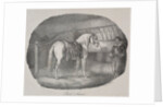 Cheval dHanovre by Théodore Géricault