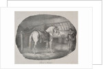 Cheval dHanovre by Théodore Géricault