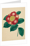 Chinese Flower by Mary Altha Nims