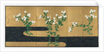 Chrysanthemums by a Stream, late 1700s-early 1800s by Ogata Korin (follower of)