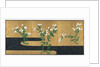 Chrysanthemums by a Stream, late 1700s-early 1800s by Ogata Korin (follower of)