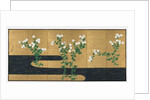 Chrysanthemums by a Stream, late 1700s-early 1800s by Ogata Korin (follower of)