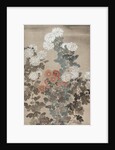 Chrysanthemums, mid 1600s by Kitagawa S?setsu