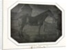 Cleveland, c. 1842-1843 by Louis-Auguste Bisson