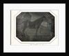 Cleveland, c. 1842-1843 by Louis-Auguste Bisson