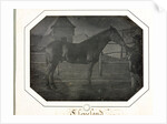 Cleveland, c. 1842-1843 by Louis-Auguste Bisson