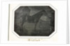 Cleveland, c. 1842-1843 by Louis-Auguste Bisson