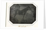 Cleveland, c. 1842-1843 by Louis-Auguste Bisson