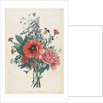 Collection of Flowers and Fruits Painted after Nature: Bouquet of Foxglove, Clematis…, 1805 by Louis Charles Ruotte; Jean Louis Prévost