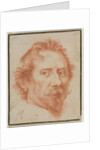 Copy of Van Dyck's Déodat Delmont, 1700s by Unknown