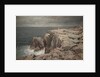 Cormorant Cliff, Jamestown, Rhode Island, 1877 by William Trost Richards