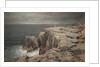 Cormorant Cliff, Jamestown, Rhode Island, 1877 by William Trost Richards