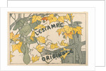 Cover for LEstampe Originale, 1894 by Camille Martin