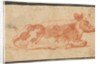 Cow, second half 1600s by Johann Heinrich Roos