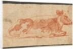 Cow, second half 1600s by Johann Heinrich Roos